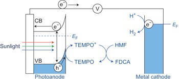 Combined biomass valorization and hydrogen production in a photoelectrochemical cell