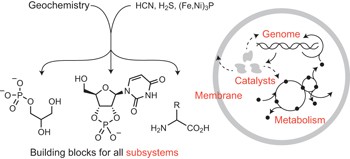 Common origins of RNA, protein and lipid precursors in a cyanosulfidic protometabolism