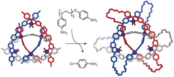 Two-stage directed self-assembly of a cyclic [3]catenane