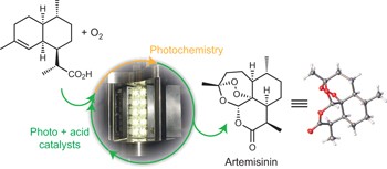Applying green chemistry to the photochemical route to artemisinin