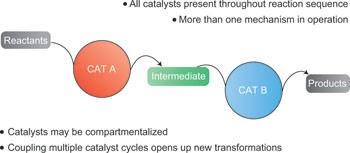 Orthogonal tandem catalysis