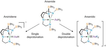 Triamidoamine uranium(<span class="small-caps u-small-caps">IV</span>)–arsenic complexes containing one-, two- and threefold U–As bonding interactions