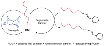 Catalytic living ring-opening metathesis polymerization