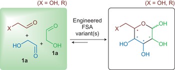 Asymmetric assembly of aldose carbohydrates from formaldehyde and glycolaldehyde by tandem biocatalytic aldol reactions