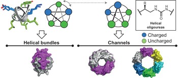 Shaping quaternary assemblies of water-soluble non-peptide helical foldamers by sequence manipulation