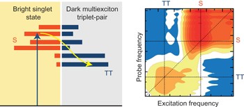 Real-time observation of multiexcitonic states in ultrafast singlet fission using coherent 2D electronic spectroscopy