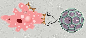 Synthesis of giant globular multivalent glycofullerenes as potent inhibitors in a model of Ebola virus infection