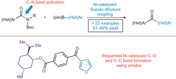 Nickel-catalysed Suzuki–Miyaura coupling of amides