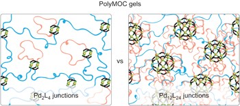 Highly branched and loop-rich gels via formation of metal–organic cages linked by polymers