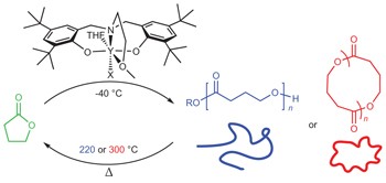 Completely recyclable biopolymers with linear and cyclic topologies via ring-opening polymerization of γ-butyrolactone