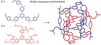 Quantitative self-assembly of a purely organic three-dimensional catenane in water