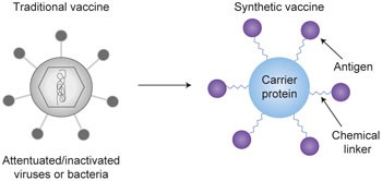 Recent advances in the molecular design of synthetic vaccines