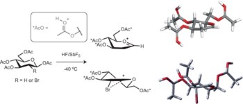 Catching elusive glycosyl cations in a condensed phase with HF/SbF<sub>5</sub> superacid