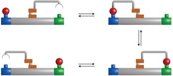 Pick-up, transport and release of a molecular cargo using a small-molecule robotic arm