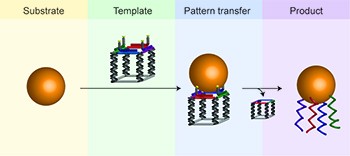 Transfer of molecular recognition information from DNA nanostructures to gold nanoparticles