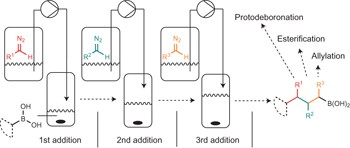 Iterative reactions of transient boronic acids enable sequential C–C bond formation