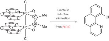 Bimetallic Pd(<span class="small-caps u-small-caps">III</span>) complexes in palladium-catalysed carbon–heteroatom bond formation