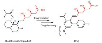 Counting on natural products for drug design