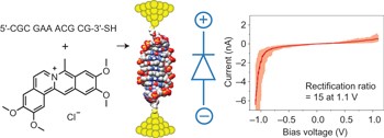 Molecular rectifier composed of DNA with high rectification ratio enabled by intercalation