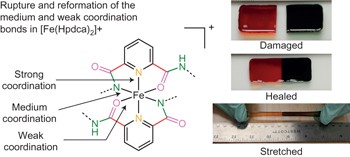 A highly stretchable autonomous self-healing elastomer