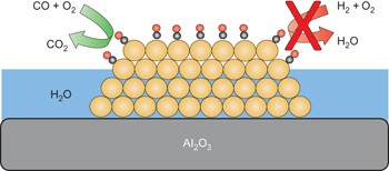 Controlling activity and selectivity using water in the Au-catalysed preferential oxidation of CO in H<sub>2</sub>