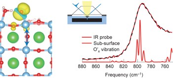 Detecting the oxyl radical of photocatalytic water oxidation at an n-SrTiO<sub>3</sub>/aqueous interface through its subsurface vibration