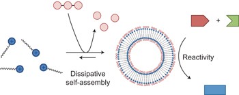 Dissipative self-assembly of vesicular nanoreactors