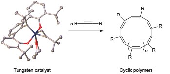 Cyclic polymers from alkynes