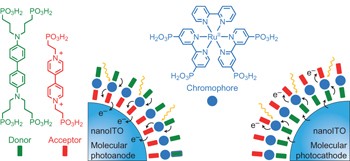 Self-assembled molecular p/n junctions for applications in dye-sensitized solar energy conversion