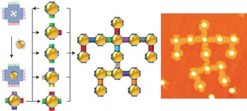 Self-organized architectures from assorted DNA-framed nanoparticles