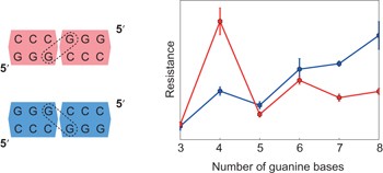 Engineering nanometre-scale coherence in soft matter