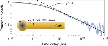 Observation of trapped-hole diffusion on the surfaces of CdS nanorods