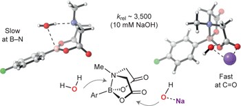 MIDA boronates are hydrolysed fast and slow by two different mechanisms