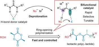 Fast and selective ring-opening polymerizations by alkoxides and thioureas