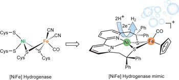 Nickel-centred proton reduction catalysis in a model of [NiFe] hydrogenase