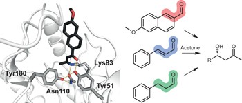 Emergence of a catalytic tetrad during evolution of a highly active artificial aldolase