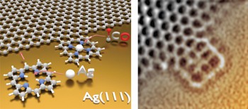 Fusing tetrapyrroles to graphene edges by surface-assisted covalent coupling
