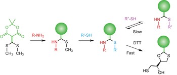 Click and chemically triggered declick reactions through reversible amine and thiol coupling via a conjugate acceptor