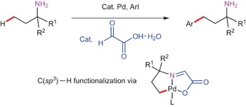 Site-selective C–H arylation of primary aliphatic amines enabled by a catalytic transient directing group