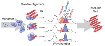 An infrared spectroscopy approach to follow β-sheet formation in peptide amyloid assemblies