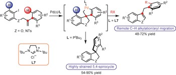 Remote C−H alkylation and C−C bond cleavage enabled by an <i>in situ</i> generated palladacycle