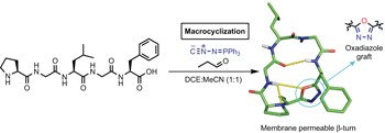 Oxadiazole grafts in peptide macrocycles