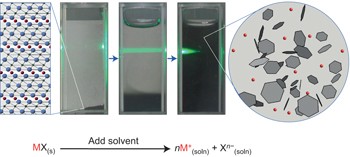 Ionic solutions of two-dimensional materials