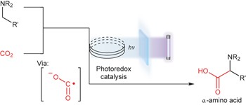 Photoredox activation of carbon dioxide for amino acid synthesis in continuous flow