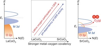 Activating lattice oxygen redox reactions in metal oxides to catalyse oxygen evolution