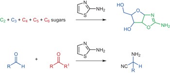 Prebiotic selection and assembly of proteinogenic amino acids and natural nucleotides from complex mixtures