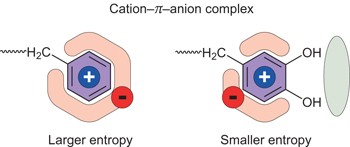 Tuning underwater adhesion with cation–<i>π</i> interactions