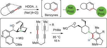 Reactions of hexadehydro-Diels–Alder benzynes with structurally complex multifunctional natural products