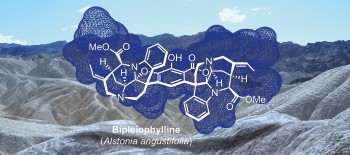 Unified biomimetic assembly of voacalgine A and bipleiophylline via divergent oxidative couplings