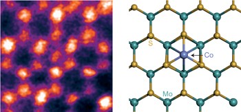 MoS<sub>2</sub> monolayer catalyst doped with isolated Co atoms for the hydrodeoxygenation reaction